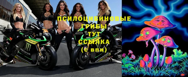 мет Алексин
