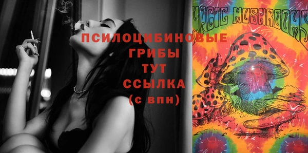 мет Алексин