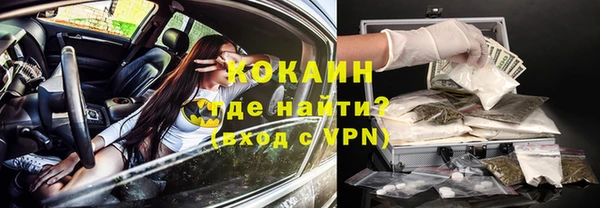 мет Алексин
