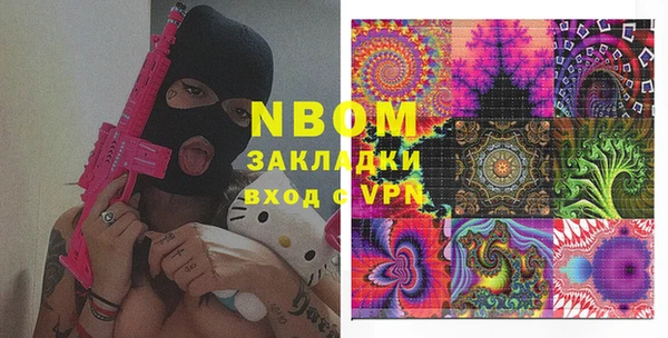 прущие грибы Ельня