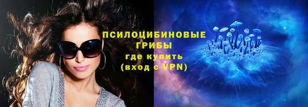 мет Алексин
