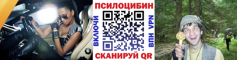 как найти наркотики Керчь Псилоцибиновые грибы Cubensis